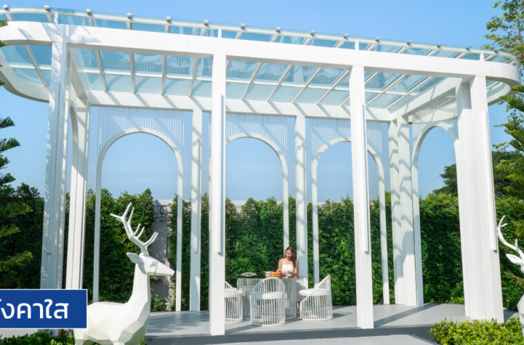 โพลีคาร์บอเนต