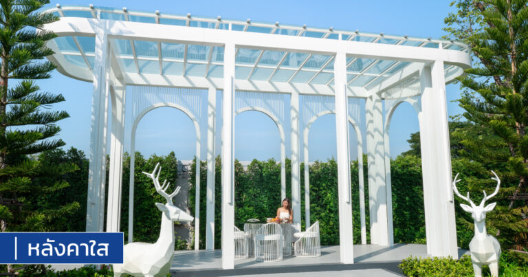 โพลีคาร์บอเนต